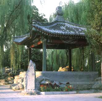  
     ͤ </td>

